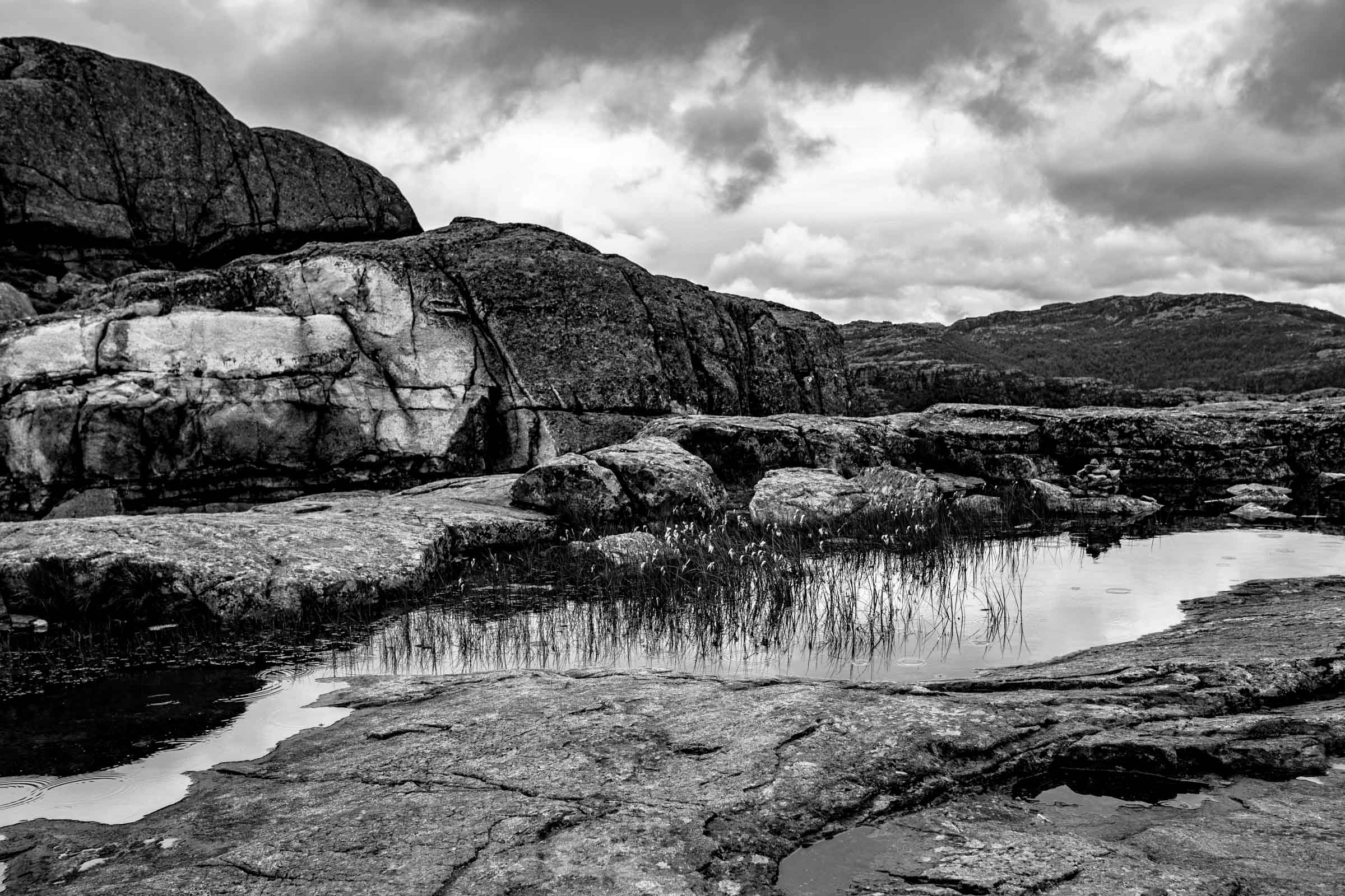_DSC1784